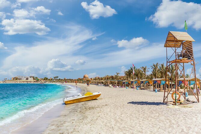 Abu Dabbab Beach Full Day Trip with Turtles - Key Points