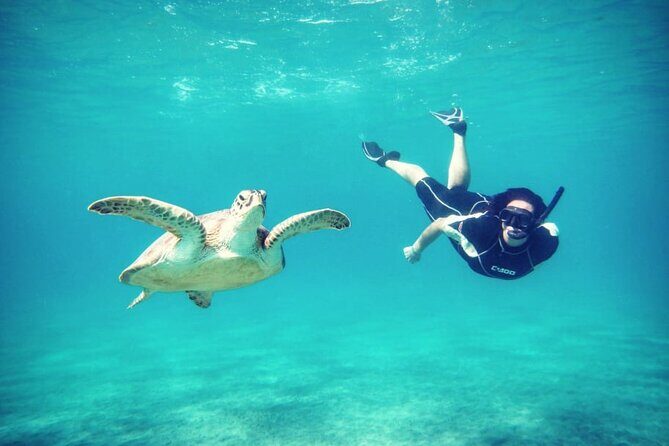 Abu Dabbab Beach Full Day Trip with Turtles - Final Thoughts: Who Is This Tour Best For?