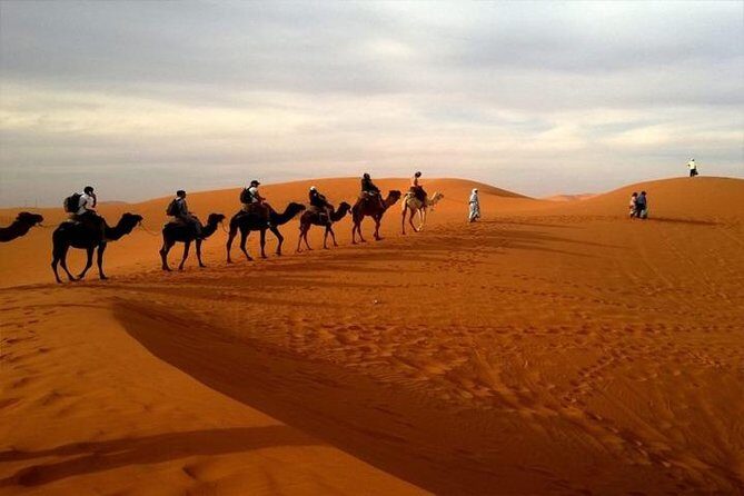 Abu Dhabi City Tour with Desert Safari Adventure - Final Thoughts