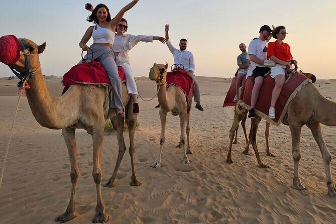 Abu Dhabi City Tour with Evening Desert Safari Hot BBQ Dinner - The Sum Up