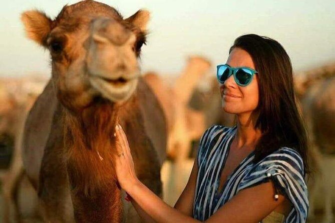 Abu Dhabi Desert Safari 4x4, BBQ Dinner, Camel Ride - Final Thoughts