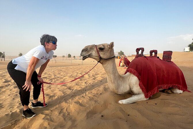 Abu Dhabi Desert Safari Tour with Shows & Buffet Dinner - Detailed Review: What to Expect from the Abu Dhabi Desert Safari
