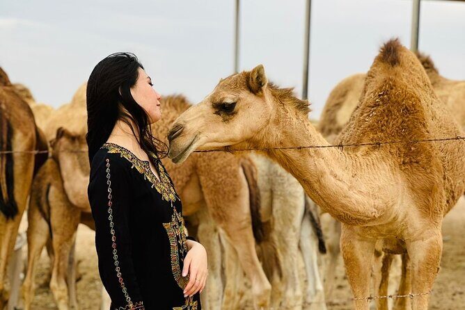 Abu Dhabi Desert Safari With BBQ Dinner & Live Shows - FAQs