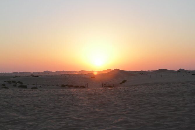 Abu Dhabi Desert Safari with BBQ Dinner & Shows - Authentic Experiences from Reviewers