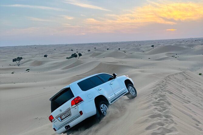 Abu Dhabi: Evening Desert Safari with Camel Ride, BBQ & Live Show - What Makes This Tour Stand Out?
