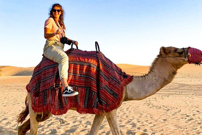 Abu Dhabi: Evening Desert Safari with Camel Ride, BBQ & Live Show - Who Will Love This Tour?