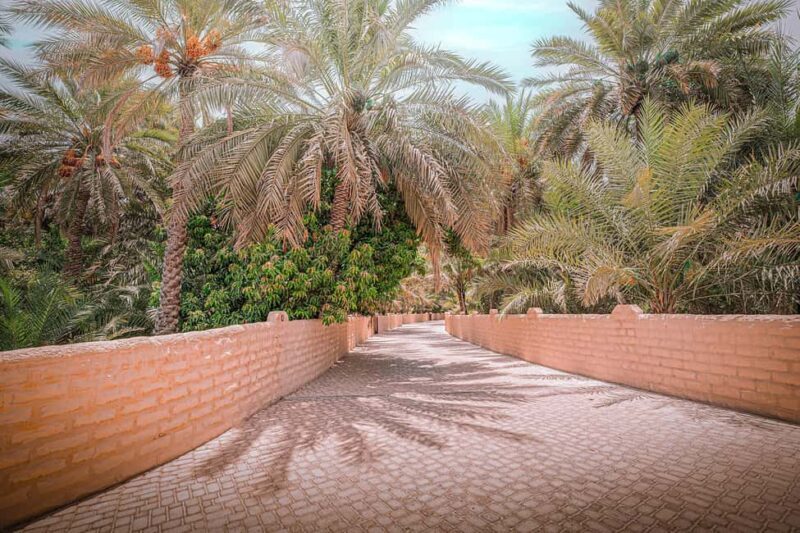 Abu Dhabi: Full-Day Al Ain Tour with Entry Tickets and Meal - Final Thoughts
