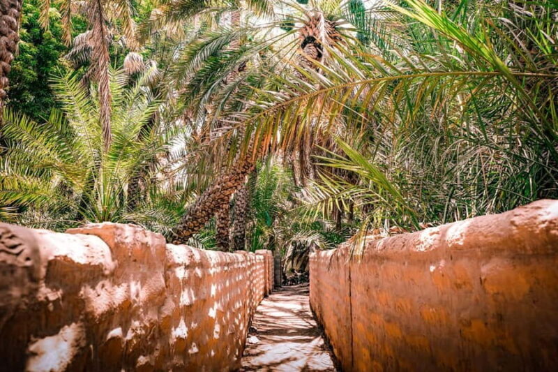Abu Dhabi: Full-Day Al Ain Tour with Entry Tickets and Meal - FAQ