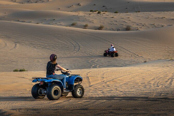 Abu Dhabi Full-Day Desert Safari - The Itinerary Breakdown: What You Can Expect