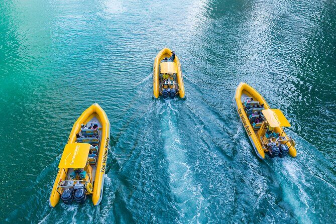 Abu Dhabi Guided Sightseeing Boat Tours - The Sum Up: Is This Tour Worth It?