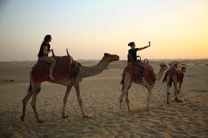Abu Dhabi Half Day Desert Safari - Who Is This Tour Best For?