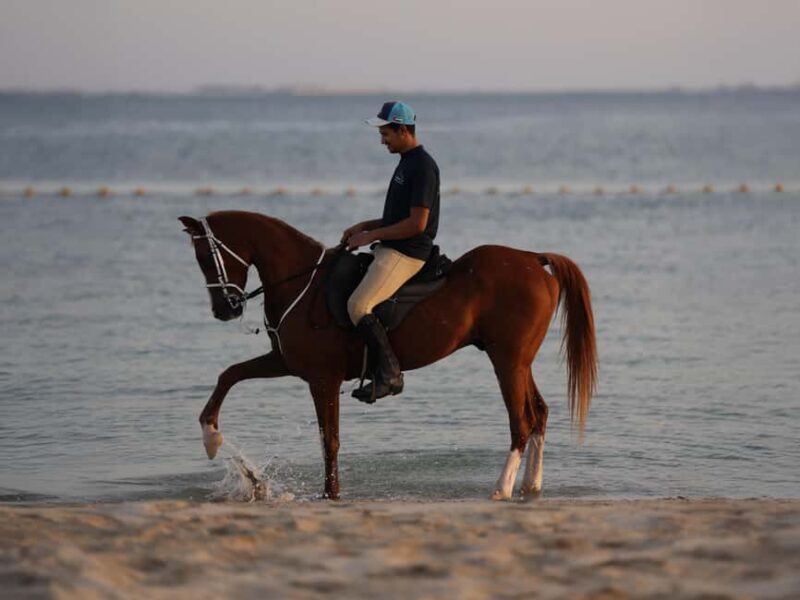 Abu Dhabi: Hudairiyat Island Horse Riding Experiences - Key Points