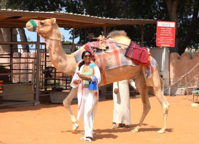 Abu Dhabi: Inside Heritage Village Walking Tour - A Detailed Look at the Heritage Village Walking Tour
