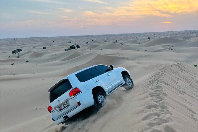 Abu Dhabi Layover & Stopover : Discover the City Between Flights - Why This Tour Offers Great Value