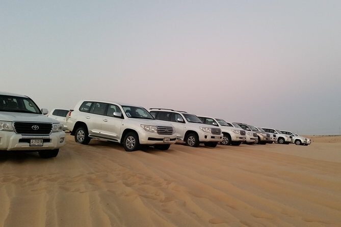 Abu Dhabi Morning Desert Safari - Who Is This Tour Best For?