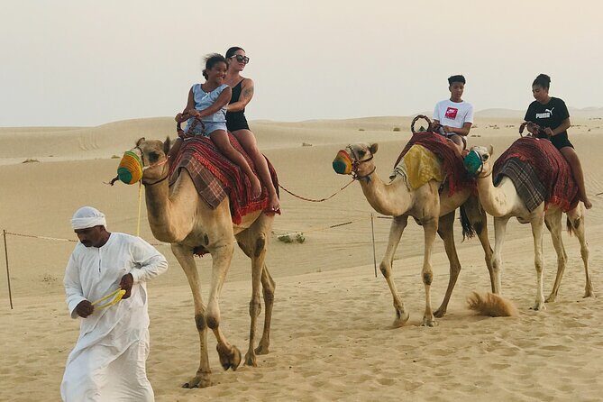Abu Dhabi Morning Desert Safari,Dune Bashing,Sandboarding,Camel Riding&Quad Bike - Who Should Consider This Tour?