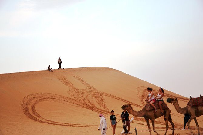 Abu Dhabi Morning Safari - The Authenticity and Value of the Experience