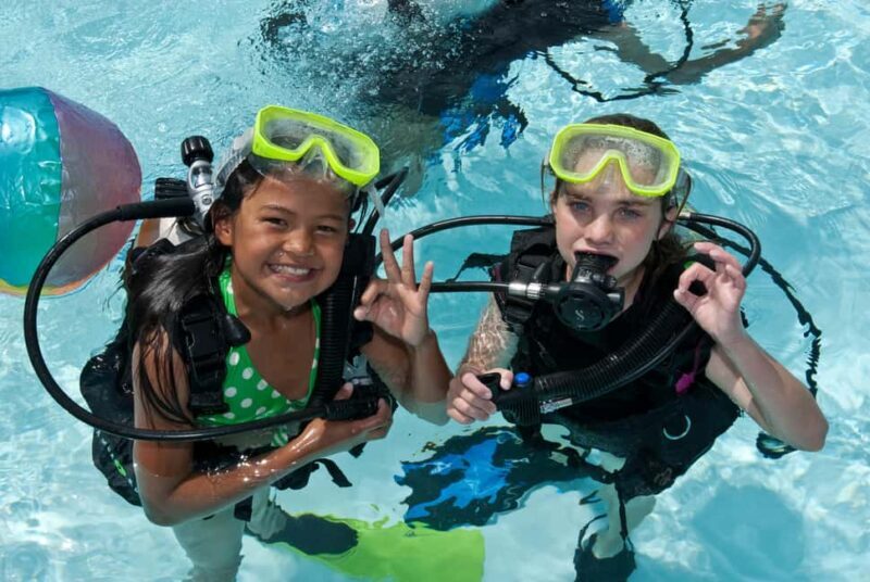 Abu Dhabi: PADI Discover Scuba Diving Program - Key Points