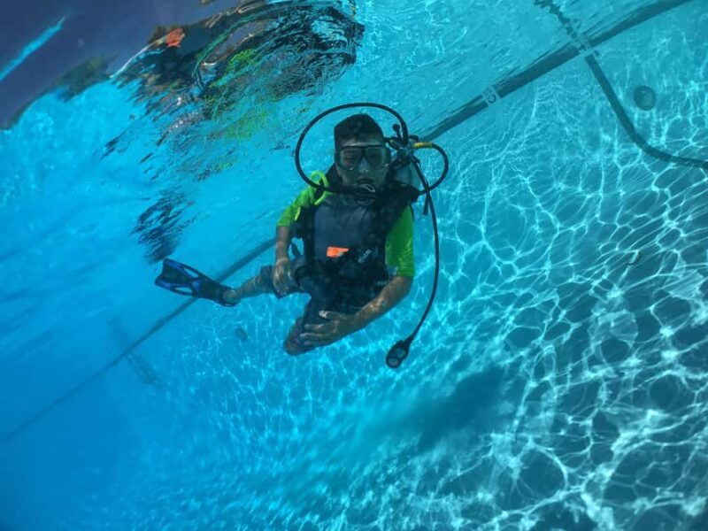 Abu Dhabi: PADI Discover Scuba Diving Program - What to Expect from the Abu Dhabi PADI Discover Scuba Diving Program