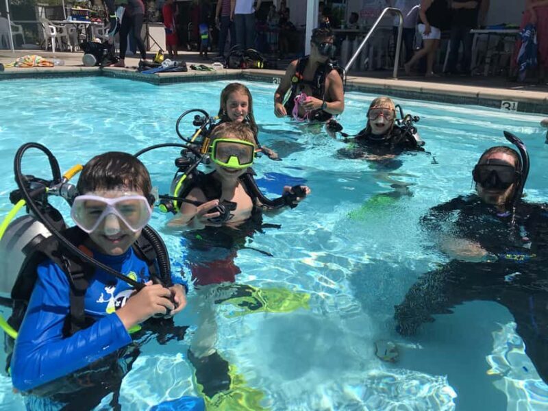 Abu Dhabi: PADI Discover Scuba Diving Program - Who Should Consider This Tour?