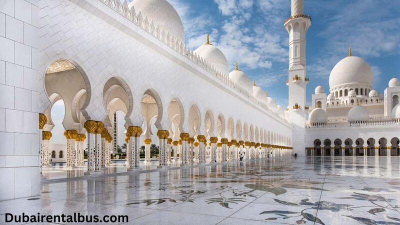 Abu Dhabi: Private Car and Driver for 8 Hours City Tour - Who Would Love This Tour?