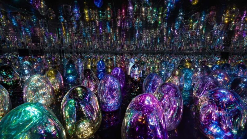 Abu Dhabi: teamLab Phenomena Entry Ticket - Key Points  