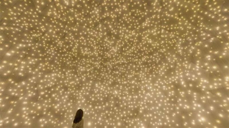 Abu Dhabi: teamLab Phenomena Entry Ticket - What Do the Reviews Say?  