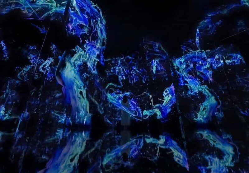 Abu Dhabi: teamLab Phenomena Entry Ticket - How Does It Compare to Other Abu Dhabi Attractions?  