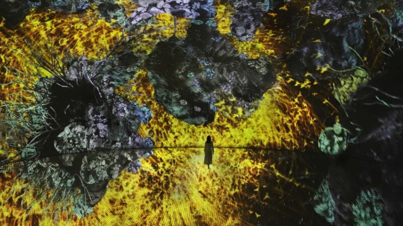 Abu Dhabi: teamLab Phenomena Entry Ticket - FAQ
