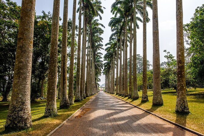 Aburi Botanic Gardens and Boti Falls Full-Day Private Tour - Key Points