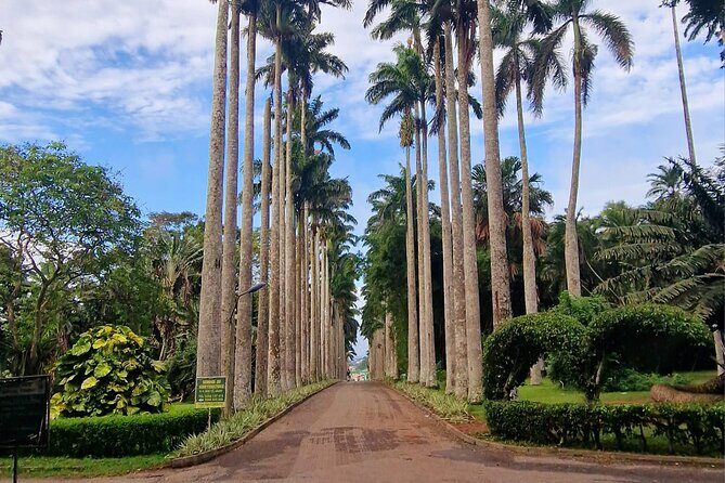 Aburi Botanic Gardens, Boti Falls,Umbrella Rock & Cocoa Farm Tour - Key Points