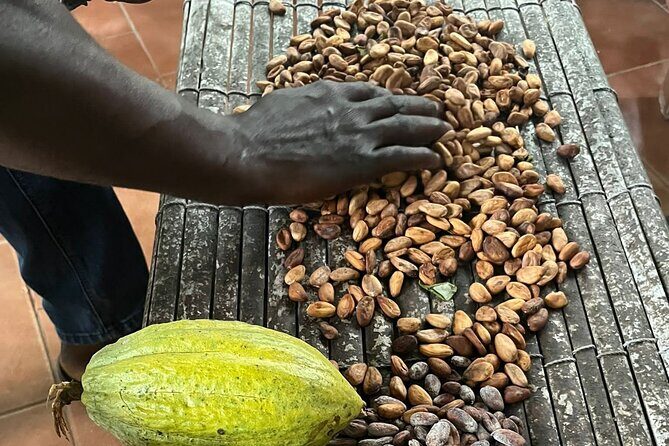 Aburi Botanic Gardens, Boti Falls,Umbrella Rock & Cocoa Farm Tour - What’s Included and What to Expect