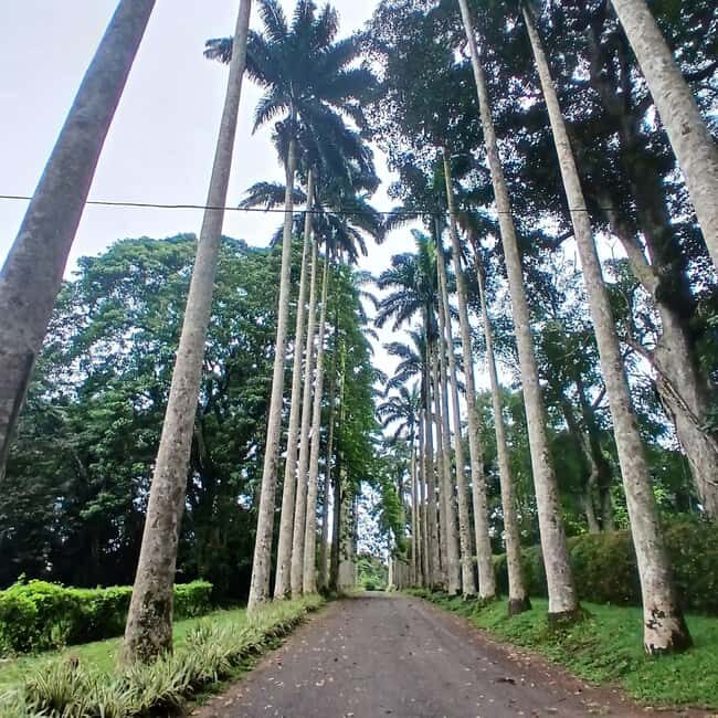 Aburi:Adventures with Quadbiking experience - Who Will Love This Tour?