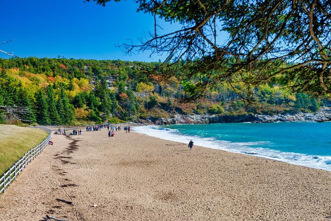 acadias-ocean-path-self-guided-walking-audio-tour