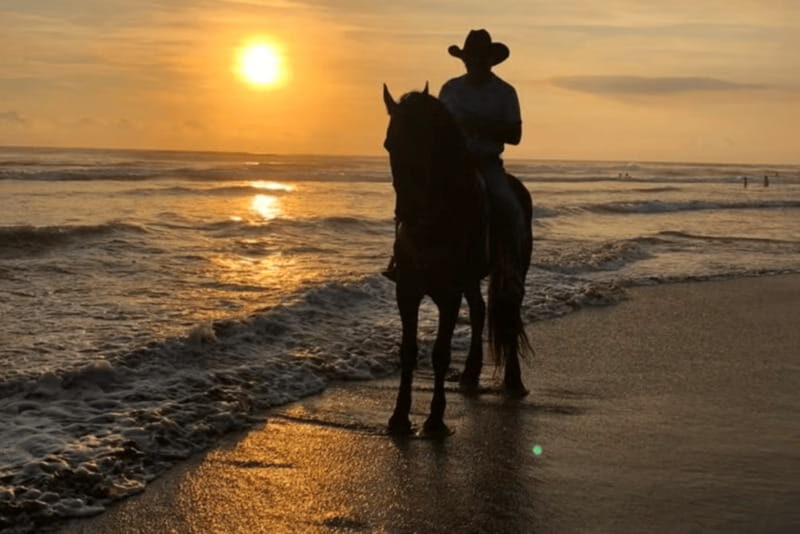 Acapulco: Bonfil Beach Horseback Riding Experience - An Honest Look at the Horseback Riding Experience in Bonfil Beach