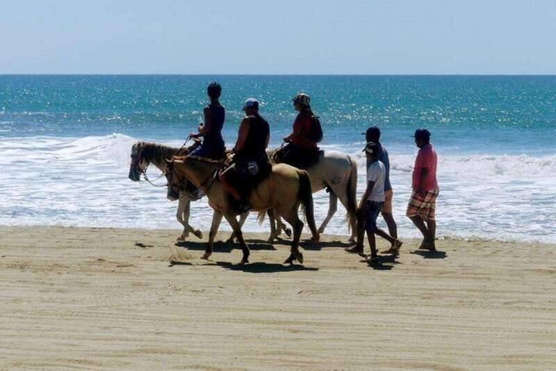-Acapulco: Horseback Ride Exp. Crocodile Farm, and City Tour - Key Points