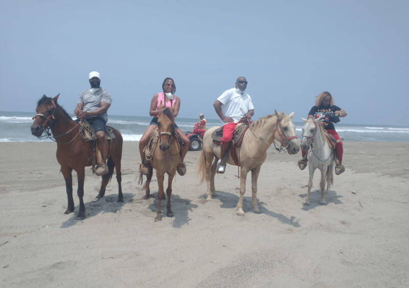 Acapulco: Horseback Riding, Turtle Camp, and Crocodile Tour - Discovering the Natural Beauty of Acapulco