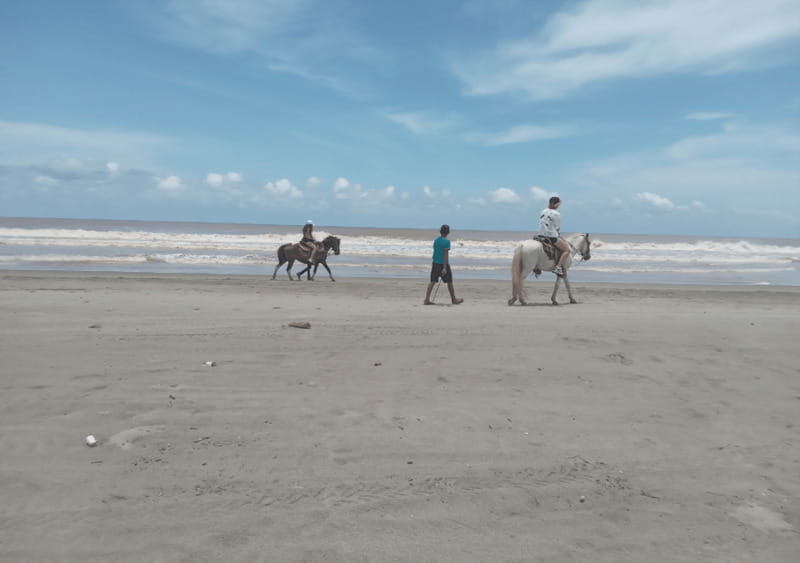 Acapulco: Horseback Riding, Turtle Camp, and Crocodile Tour - Final Thoughts: Who Will Love This Tour?