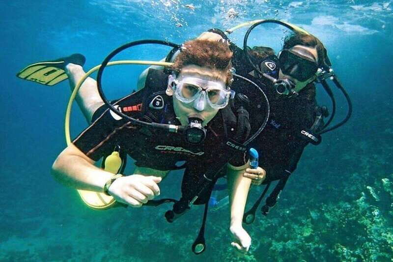 -Acapulco: La Roqueta Island Tour & Scuba Diving Experience - An In-Depth Look at the La Roqueta Island Scuba Experience