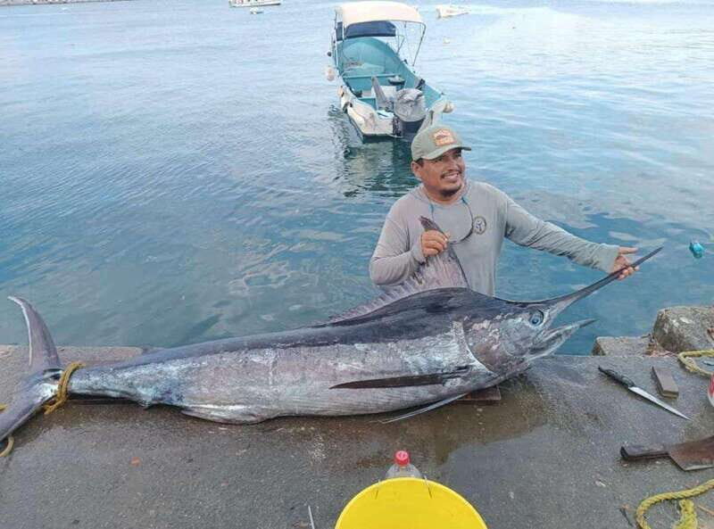 Acapulco: Private Fishing Experience - An In-Depth Look at the Acapulco Private Fishing Tour