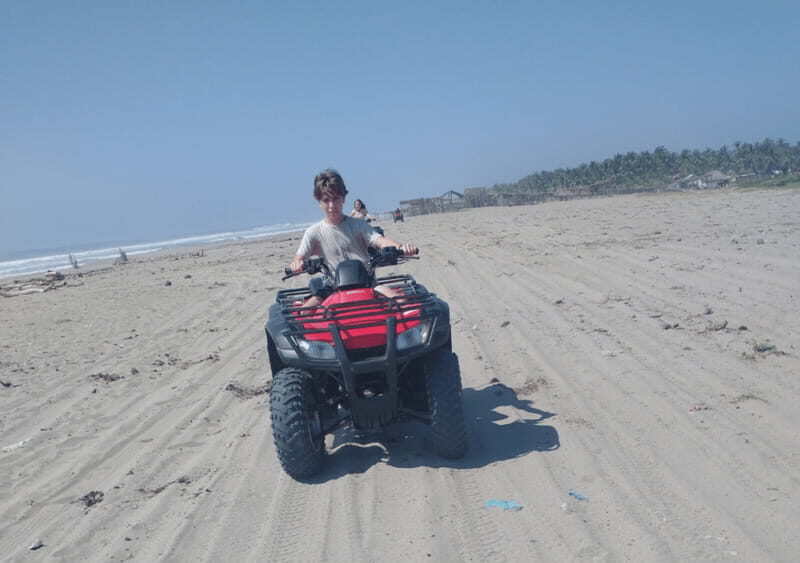 Acapulco: Turtle Release and ATV Guided Adventure - Key Points