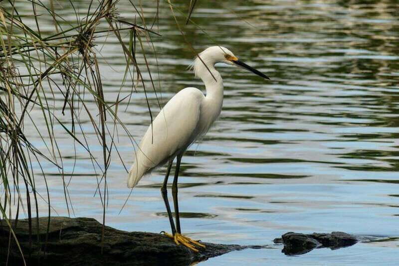 -Acapulco:3 Palos Lagoon Boat Ride& Crocodile Farm Exprience - Value and Practical Considerations