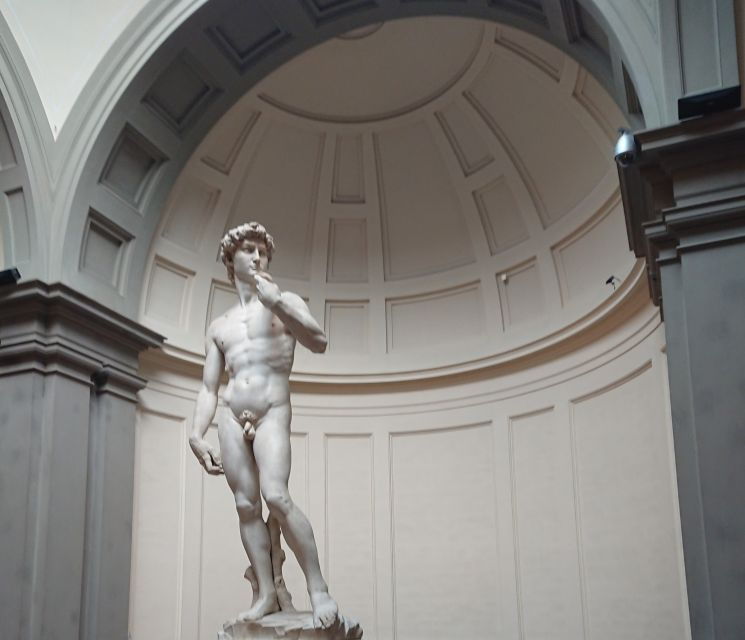 accademia-gallery-with-david-private-tour-in-florence