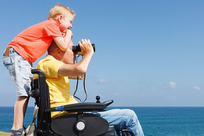 accessible-tour-in-athens-3-hours-athens-panorama-shore-excursion