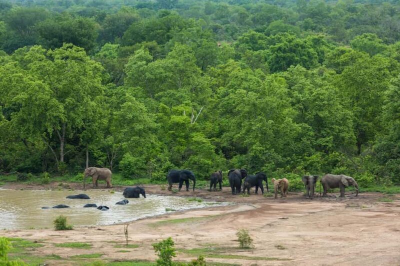 Accra: 11-Day Northern Territories, Savannah, & Tribes Tour - Introduction: An Adventure Through Ghana’s Northern Heartland