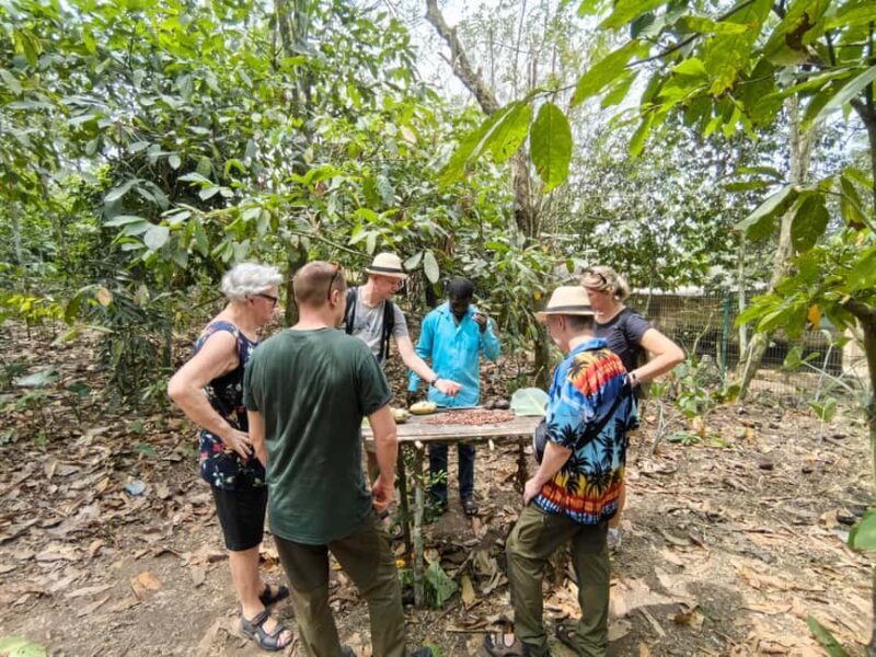 Accra: Aburi Botanical Garden, Cocoa Farm, and Waterfall - Who Would Love This Tour?