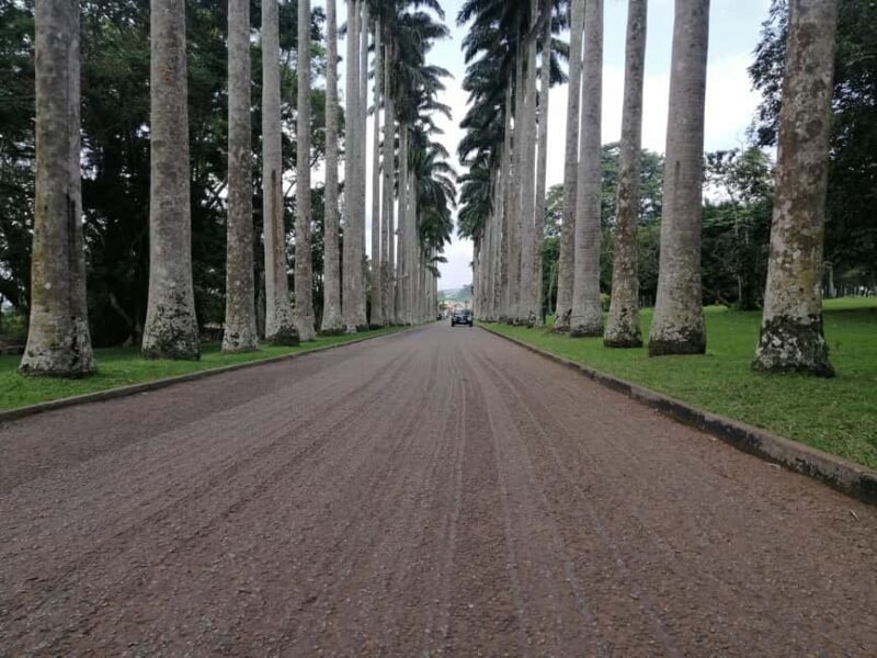 Accra: Aburi Botanical Gardens and Waterfalls Private Tour - What Makes This Tour Valuable?