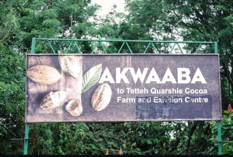 Accra: Cocoa Farm & Waterfalls Tour - A Closer Look at the Experience