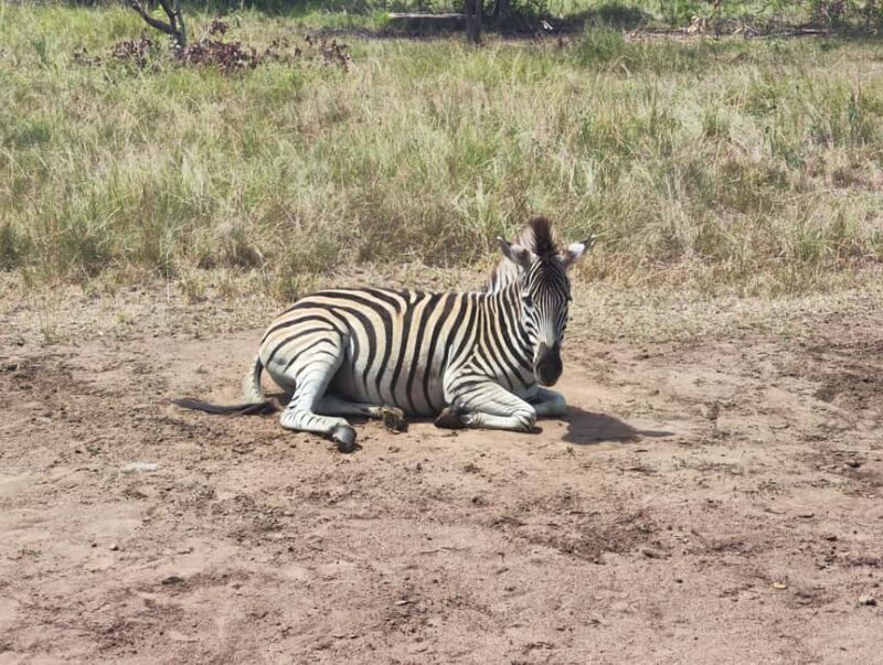 Accra: Half day private safari with pick up - The Experience: What to Expect on the Tour