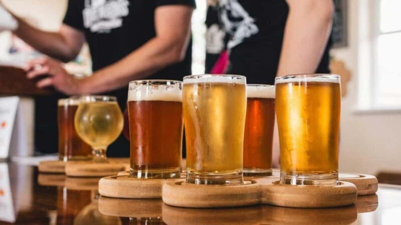 Accra: Local Brewery Tour and Beer Tasting Experience - Final Thoughts: Who Should Book This Tour?